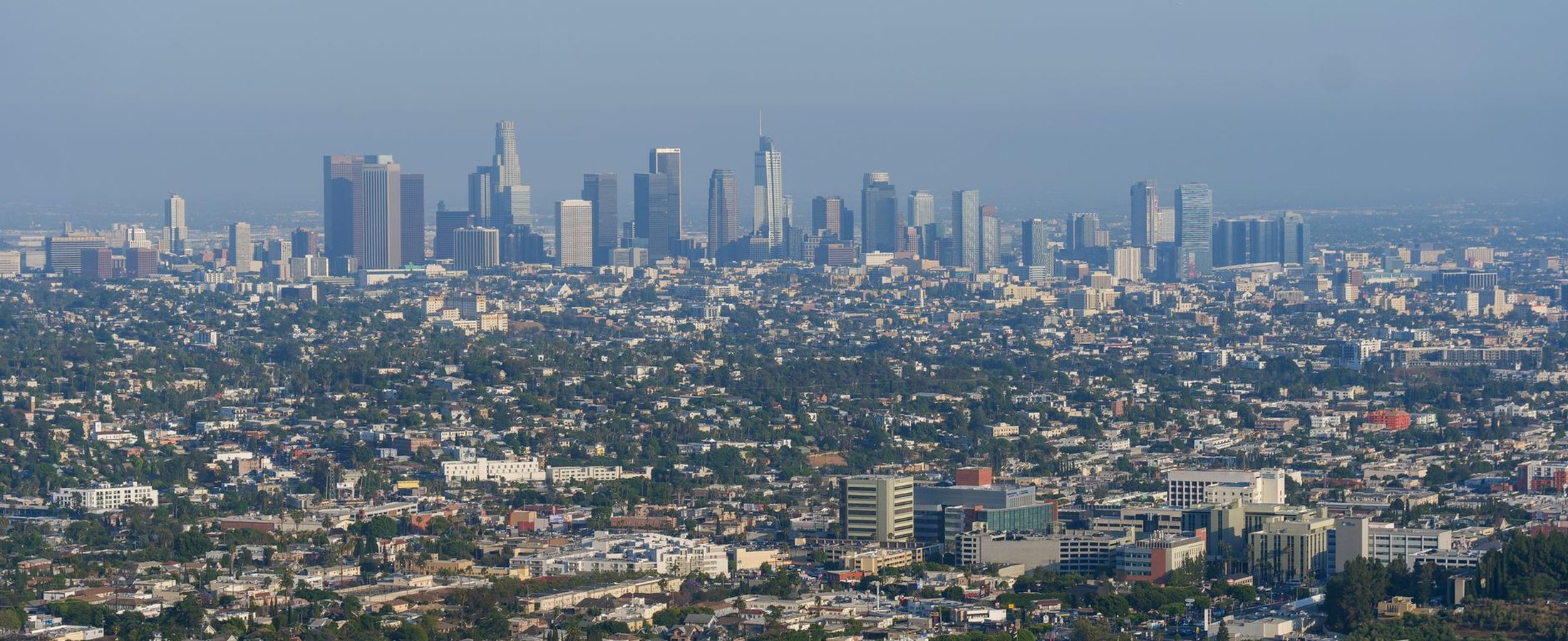 The Los Angeles downtown skyline