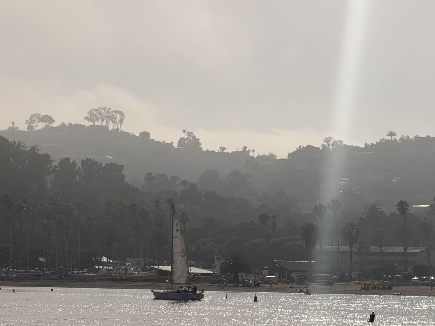 A sailboat in a California coastal harbor below palm-lined hills
