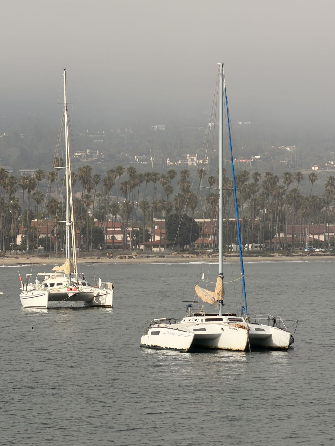 Sailboats moored along the California coast