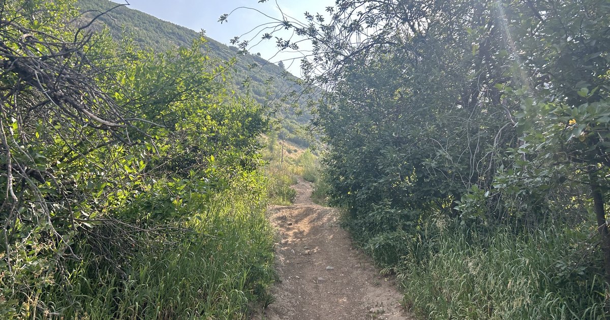 a Steamboat Springs hiking trail